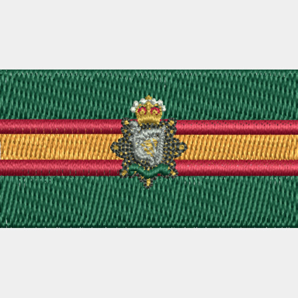 Small 2nd Irish Regiment 1 x 2 in Thumbnail