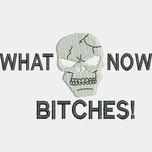 What Now Bitches 2 in x 3 6 in Thumbnail