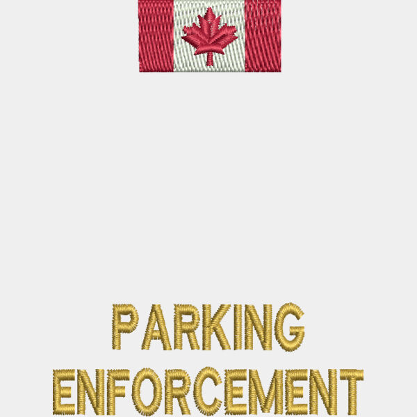 Parking Enforcement 66x88 Thumbnail
