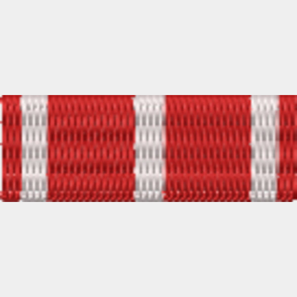 22 Medal of Military Valour Thumbnail