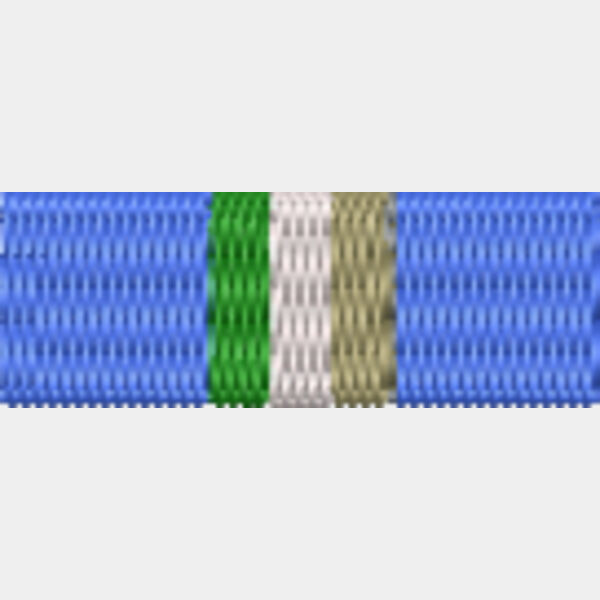 60 UNTEA Medal Thumbnail