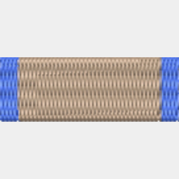 71 MINURSO Medal Thumbnail