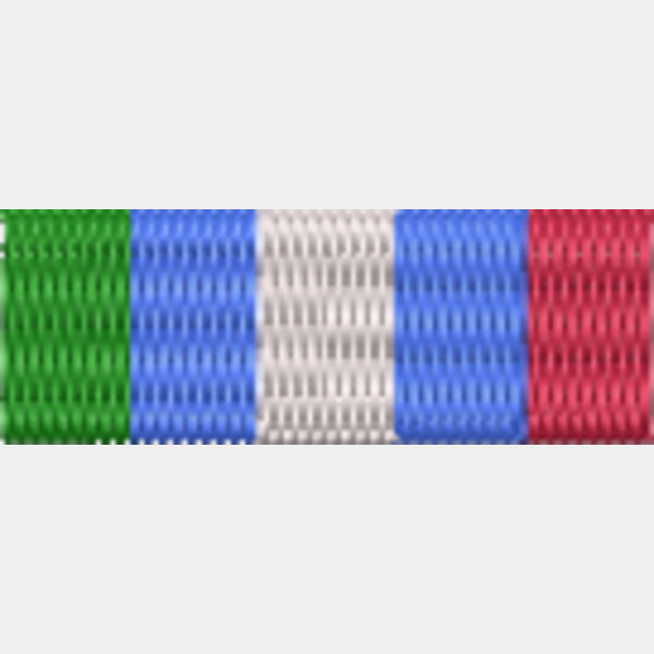 84 UNMIBH Medal Thumbnail