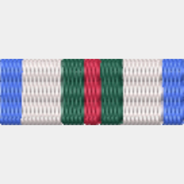 95 INTERFET Medal Thumbnail