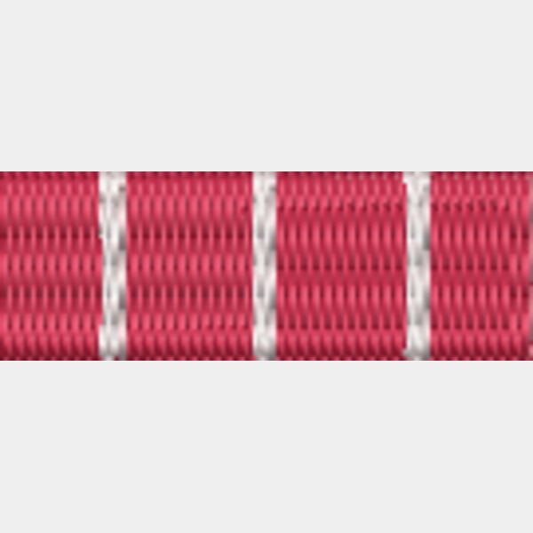 101 Canadian Forces Decoration Thumbnail