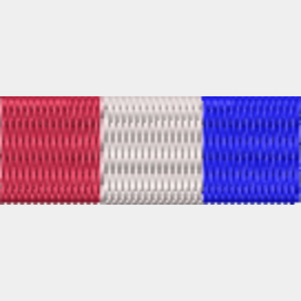 127 Harley Owners Group Life Member  medal ribbon  Thumbnail