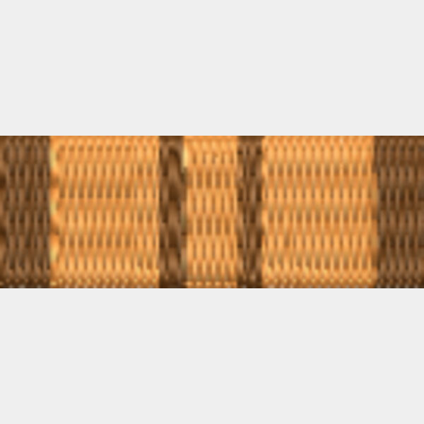 128 Community Service Medal  CSM   medal Ribbons  Thumbnail