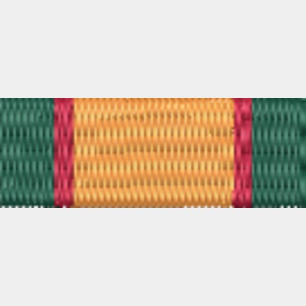 134 ACLC Volunteer Army Cadet Thumbnail