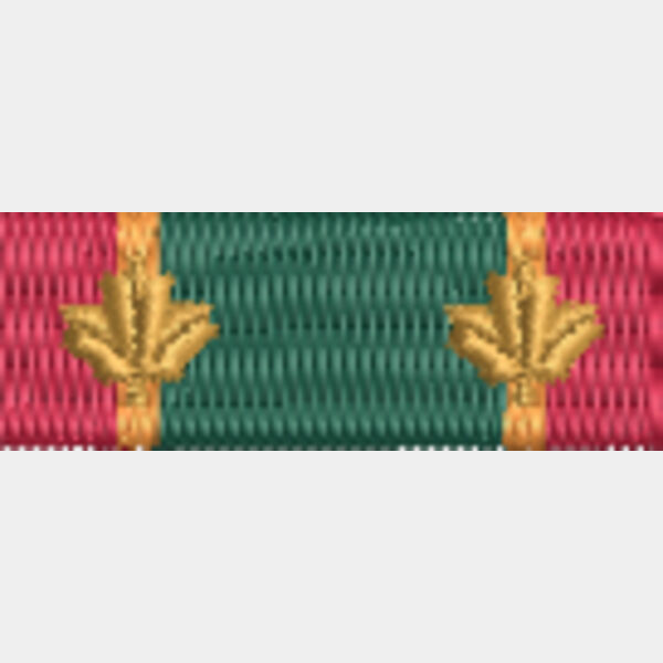 135 ACSM Army Cadet Thumbnail