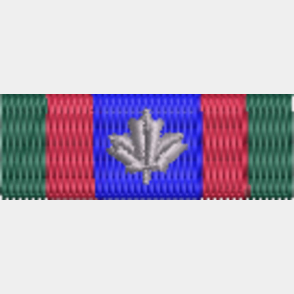 45 Canadian Volunteer Service Medal Thumbnail