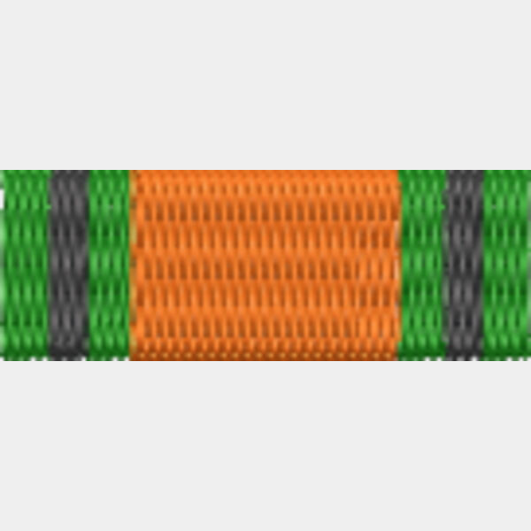 44 Defence Medal Thumbnail