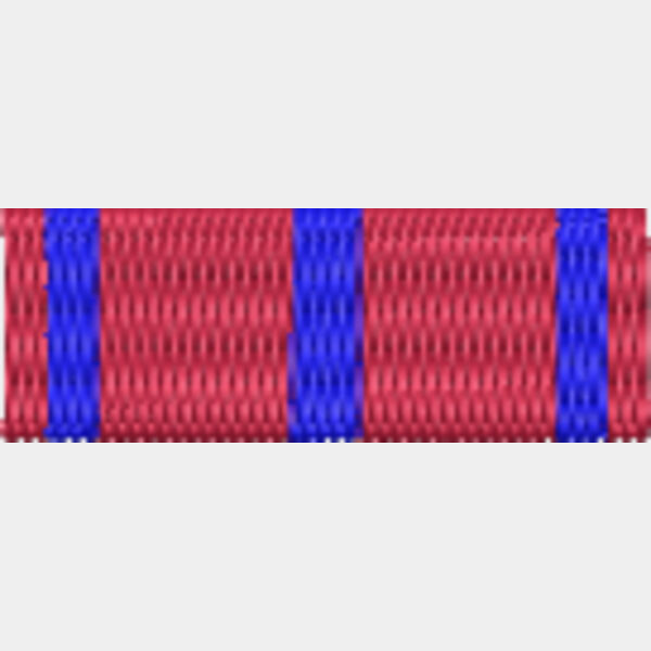 23 Medal of Bravery  Thumbnail