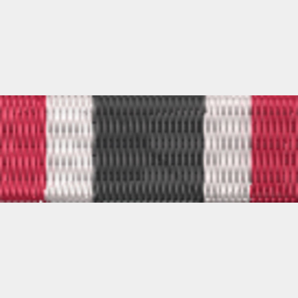 53 Special Service Medal Thumbnail