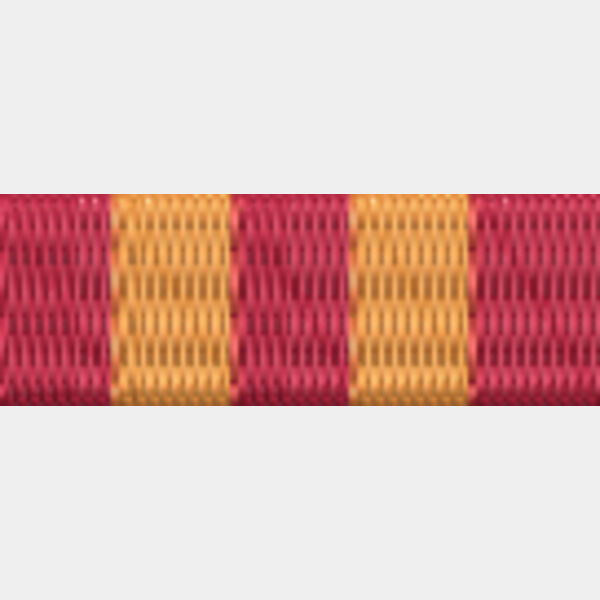 104 Fire Service Exemplary Service Medal Thumbnail