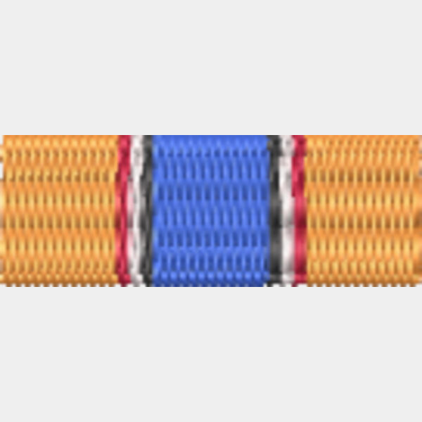 70 UNAVEM Medal Thumbnail