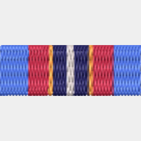 74 UNAMIC Medal Thumbnail