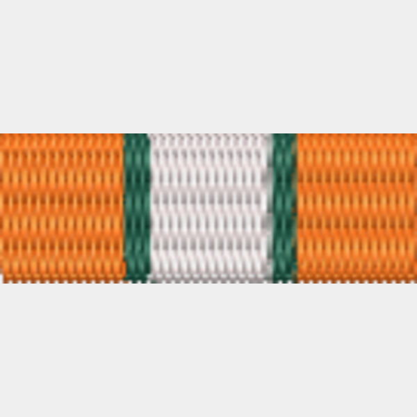 91 MFO Medal Thumbnail