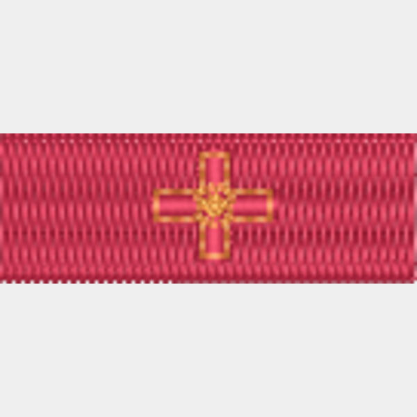 Cross of Valour (CV) Thumbnail