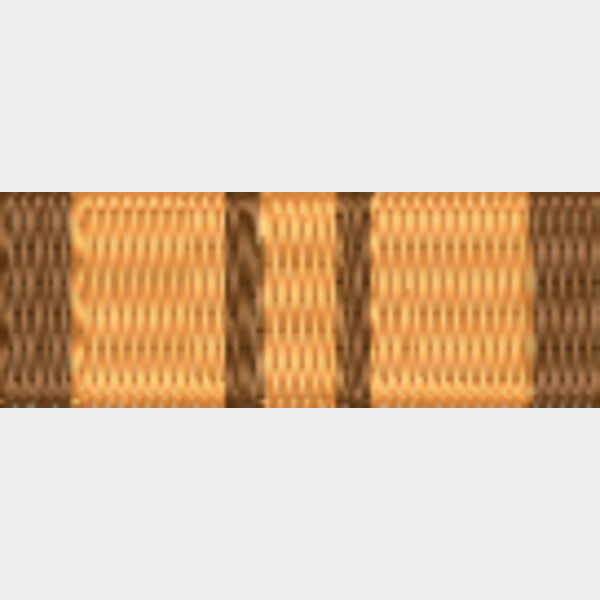 Community Service Medal (CSM) (medal Ribbons) Thumbnail