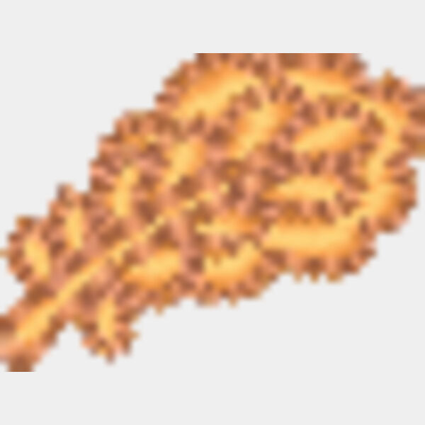 Oak Leaf Cluster Thumbnail