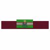 Create a Nametape (1 x 7") Thumbnail