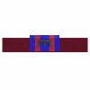 Create a Nametape (1 x 7") Thumbnail