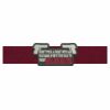 Create a Nametape (1 x 7") Thumbnail