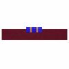 Create a Nametape (1 x 7") Thumbnail